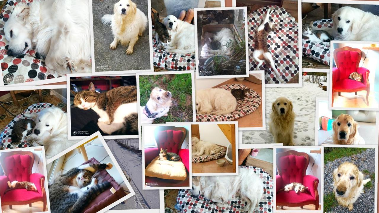 Ferienwohnung Chez Celine En Campagne Mazerny Exterior foto